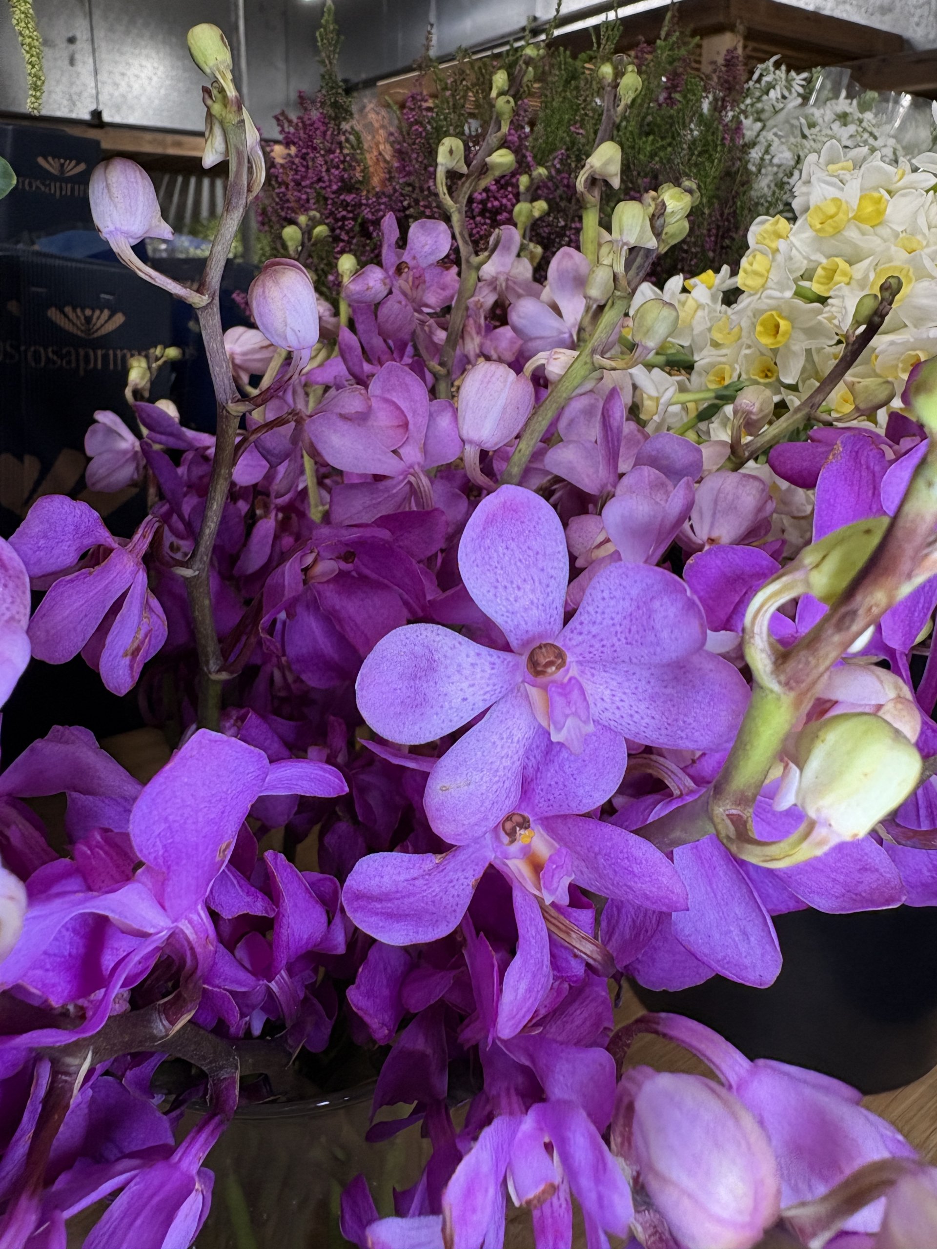 Arizona Floral Exchange